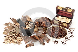 Chinese Holistic Health Care for Herbal Plant Medicine photo