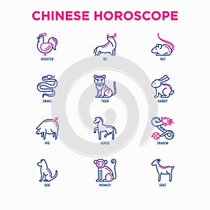 Chinese horoscope thin line icons set: rooster, ox, mouse, dragon, tiger, rabbit, pig, horse, dog, monkey, goat. Modern vector