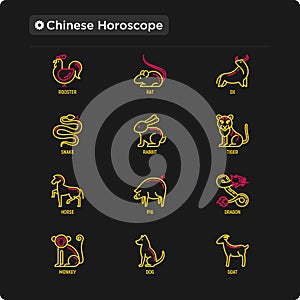 Chinese horoscope thin line icons set: rooster, ox, mouse, dragon, tiger, rabbit, pig, horse, dog, monkey, goat. Modern vector