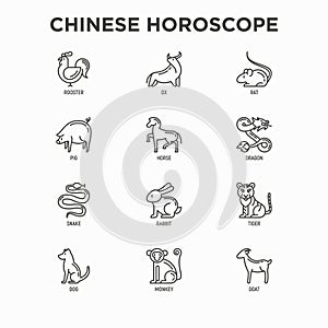 Chinese horoscope thin line icons set: rooster, ox, mouse, dragon, tiger, rabbit, pig, horse, dog, monkey, goat. Modern vector