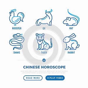 Chinese horoscope thin line icons set: rooster, ox, mouse, dragon, tiger, rabbit, pig, horse, dog, monkey, goat. Modern vector