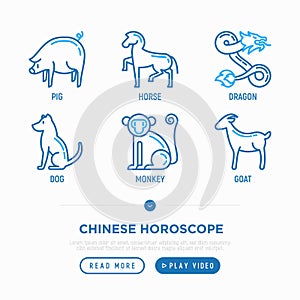 Chinese horoscope thin line icons set: rooster, ox, mouse, dragon, tiger, rabbit, pig, horse, dog, monkey, goat. Modern vector