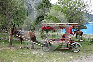 Cinese un cavallo trasporto 