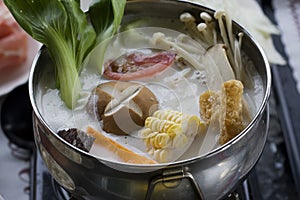 Chinese Hotpot photo