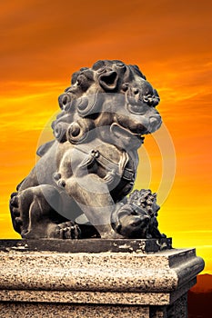 Chinese Imperial Lion Statue