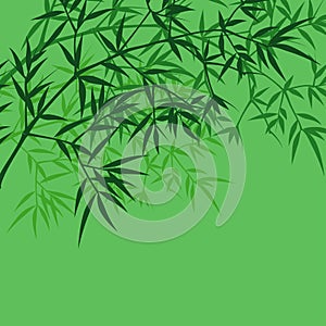 Chinese or japanese bamboo grass oriental wallpaper vector illustration. Tropical asian plant background