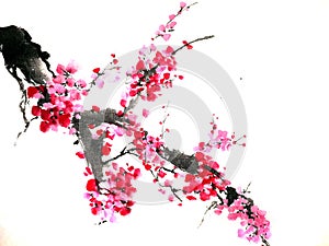 Chinese or japanese ink painting of a cherry blossom