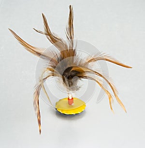 Chinese Jianzi Shuttlecock