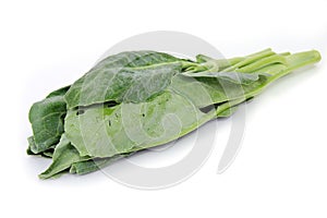 Chinese Kale or Chinese Broccoli vegetable isolated on white background