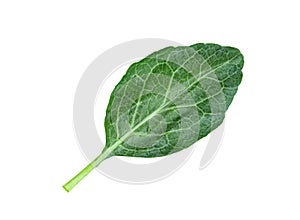 Chinese kale isolated on white background ,Green leaves of collards pattern