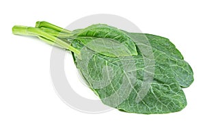 Chinese kale isolated on white background ,Green leaves of collards pattern