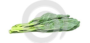 Chinese kale isolated on white background ,Green leaves of collards pattern