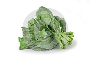 Chinese kale isolated on white background ,Green leaves of collards pattern