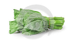 Chinese kale isolated on white background ,Green leaves of collards pattern