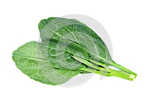 Chinese kale isolated on white background ,Green leaves of collards pattern