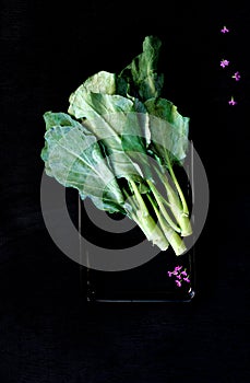 Chinese kale vegetable on the back wood background