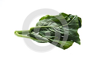 Chinese kale vegetable : fresh chinese kale vegetable on white b