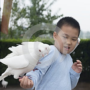 Chinese kid feed pigeon with cautious pose photo