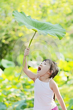 Chinese kid holding stem of lotus leaf above head