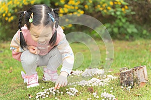 Chinese kid picking mushroom in garden