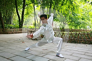 Chinese kongFu