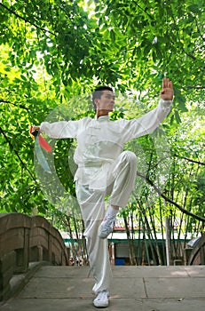 Chinese kongFu