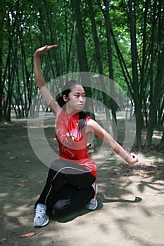Chinese kongFu