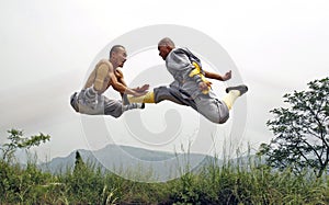 Chinese kung fu photo