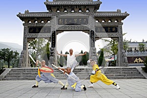 Chinese kung fu photo