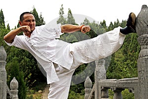 Chinese kung Fu photo