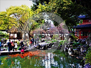 Chinese lake, traditional buildings and lucky red carps