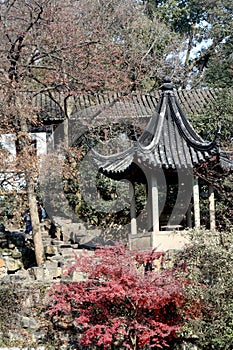 Chinese landscaped garden