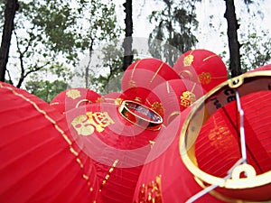 Chinese lantern in chinese`s new year