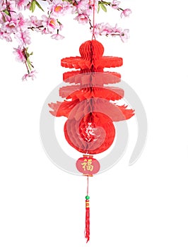 Chinese Lantern on Plum Branch,Isolated on White