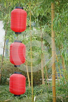 Chinese lanterns and bamboo