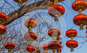 Chinese lanterns at Beijing street