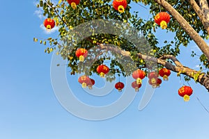 Chinese lanterns hung on a tree and copy speac against a backdrop of the sky