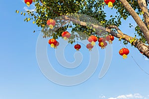 Chinese lanterns hung on a tree and copy speac against a backdrop of the sky