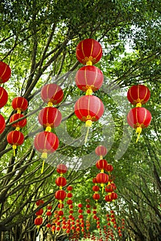 Chinese lanterns