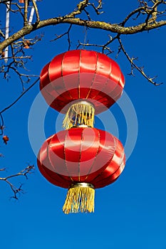 Chinese lanterns, a symbol in Chinese tradition for celebrating good times such as new year etc