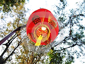 Chinese lanturn in chinese`s new year