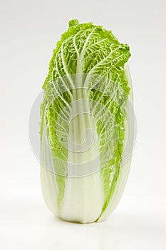 Chinese lettuce studio shot photo