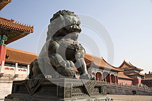 Chinese Lion