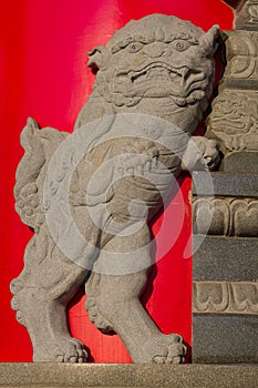 Chinese lion