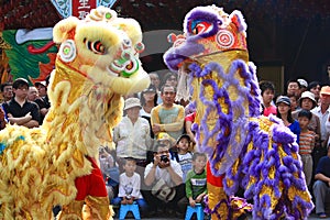 Chinese Lion Dance