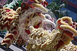 Chinese Lion Dance