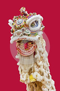 Chinese Lion Dance