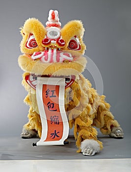 Chinese lion dance,new year celebration