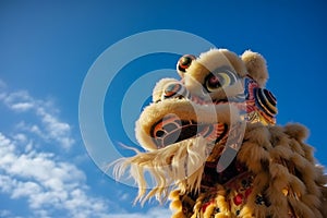 Chinese lion dance show in Chinese New Year festival