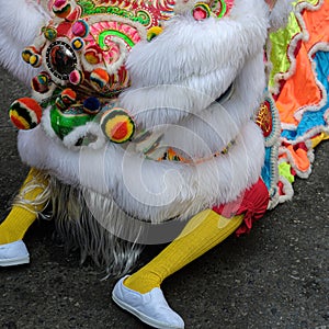 The Chinese lion dance, traditional dance in Chinese culture which performers mimic a lion`s movements in a lion costume to bring